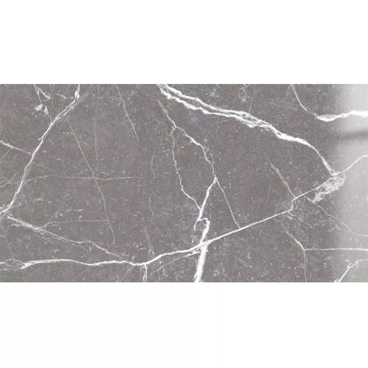 Floor Tiles Santana Marble Optic Polished Grey 30x60cm