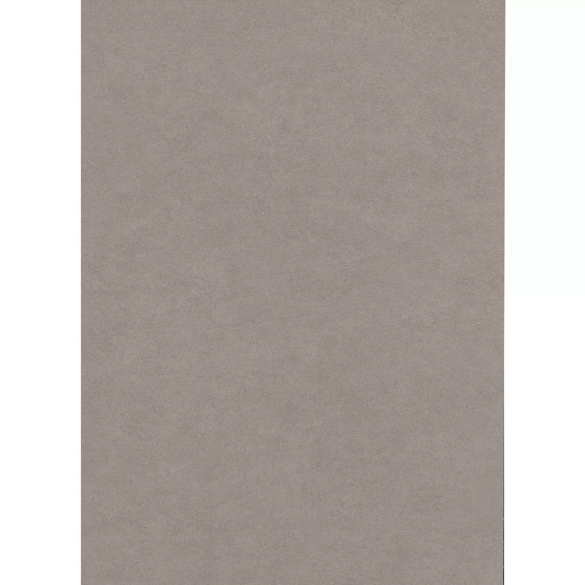 Kolossal Light Grey 60x120 cm 