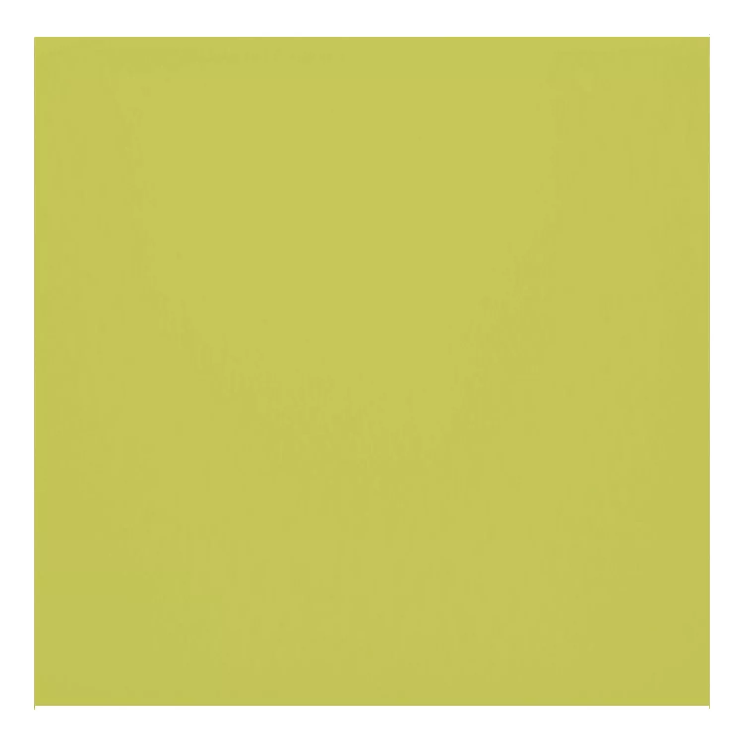 Metro tile Green Mat 10x10 cm Without Facet Freyburg Pistacho