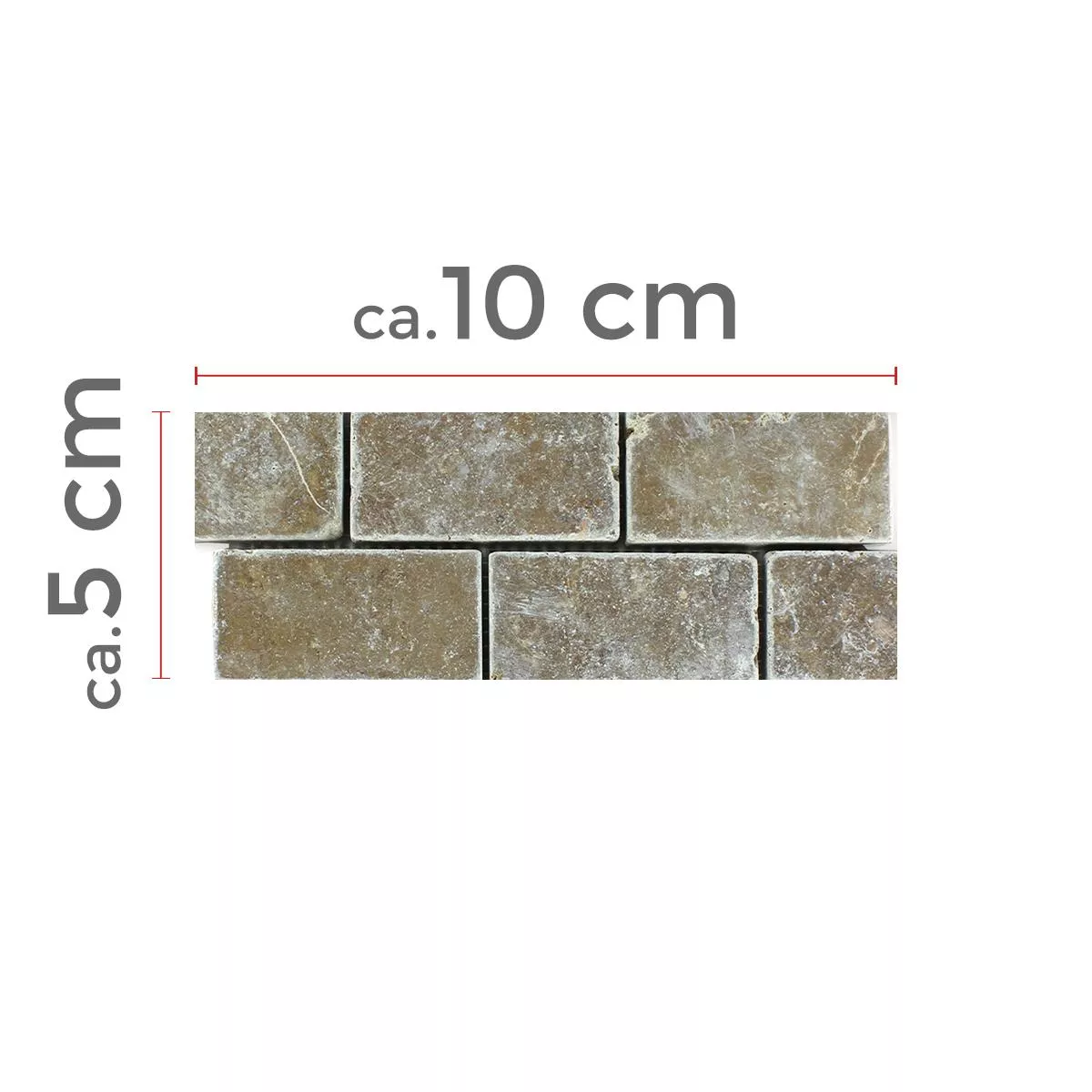 Sample Travertine Tiles Noce Brick