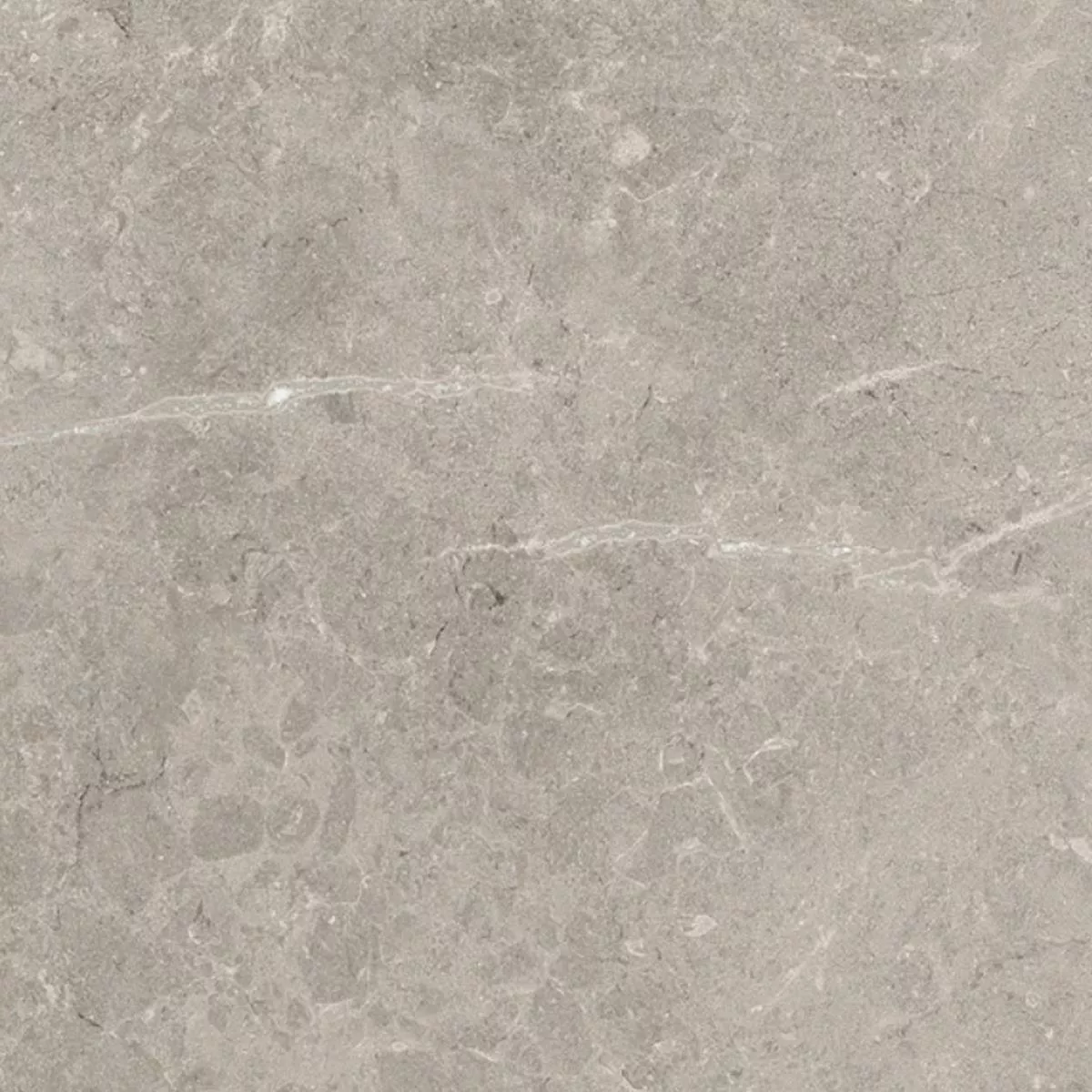 Terrace Tiles Porcelain Stoneware Arizona 60x60x2 cm