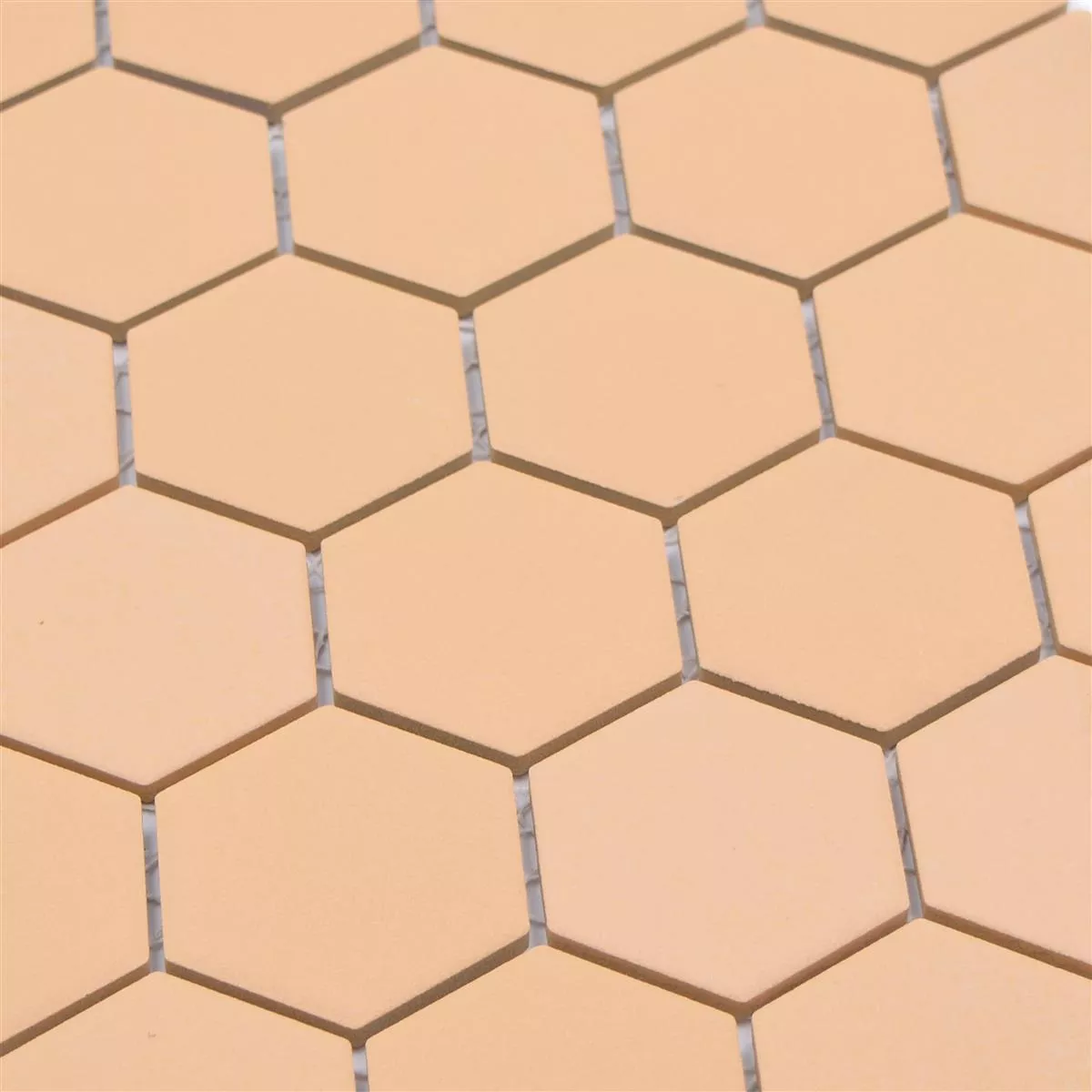 Sample Ceramic Mosaic Bismarck R10B Hexagon Ocher Orange H51