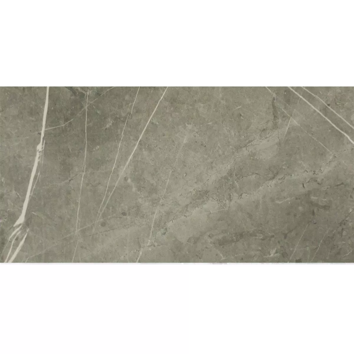 Sample Floor Tiles Astara Natural Stone Optic Polished Mist 30x60cm