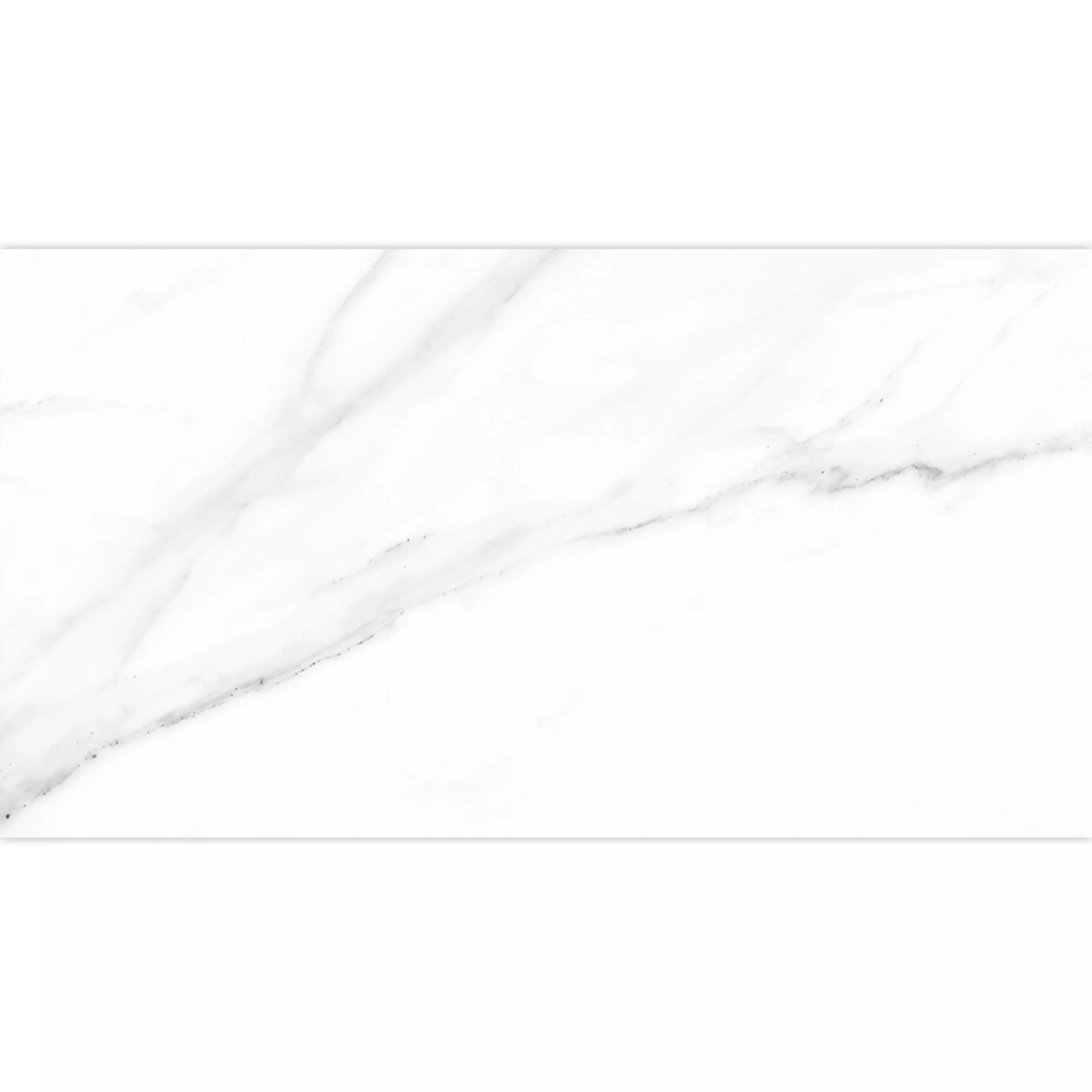 Bodenfliesen Arcadia Marmoroptik Matt Weiß 30x60cm