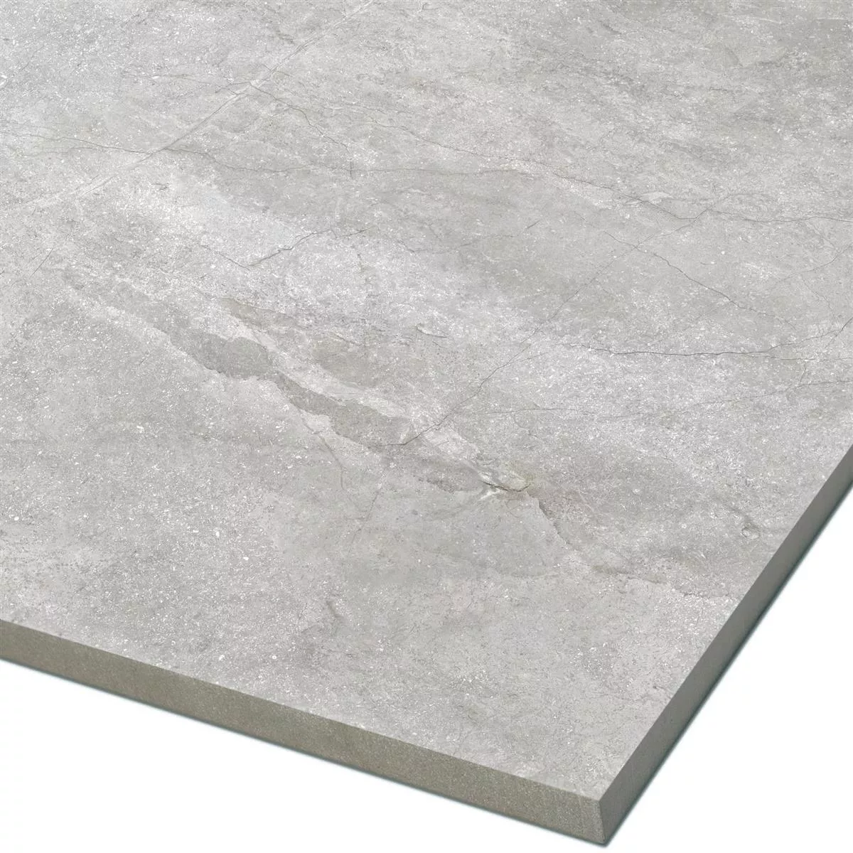 Sample Floor Tiles Pangea Marble Optic Mat Silver 60x60cm