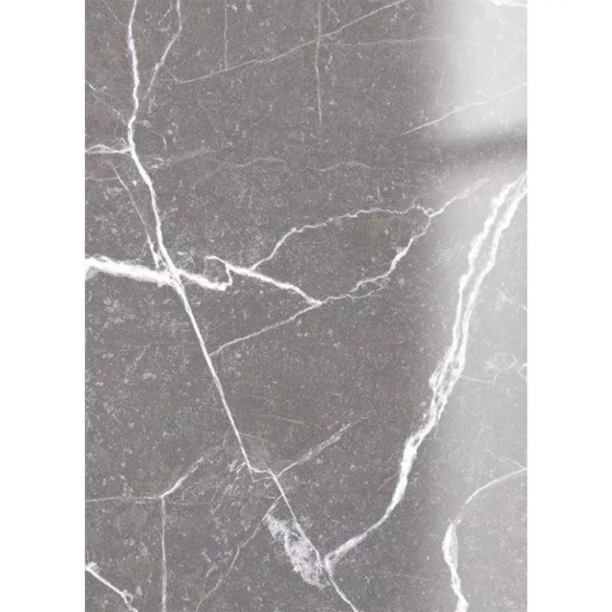 Sample Floor Tiles Santana Marble Optic Polished Grey 60x120cm