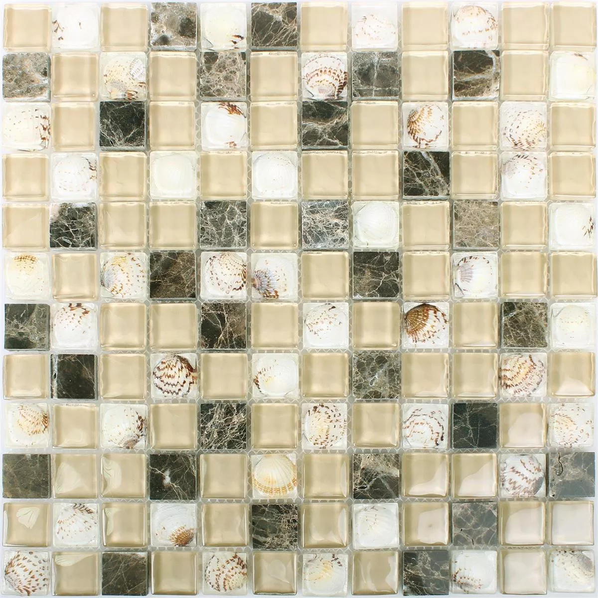 Sample Glass Mosaic Natural Stone Tiles Tatvan Shell Brown Beige
