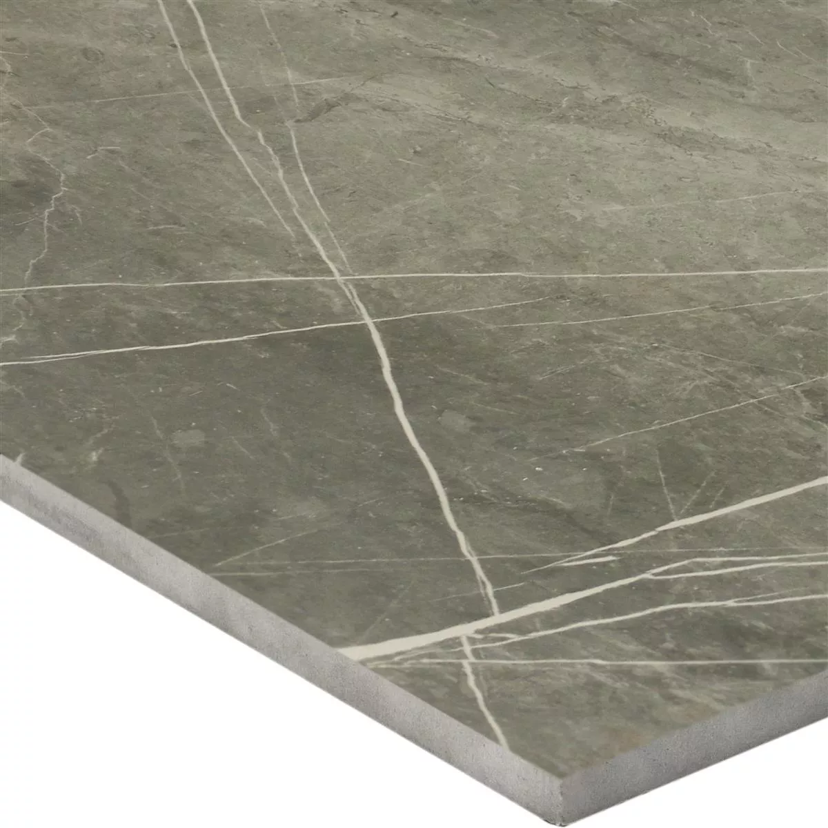 Floor Tiles Astara Natural Stone Optic Polished Mist 60x60cm