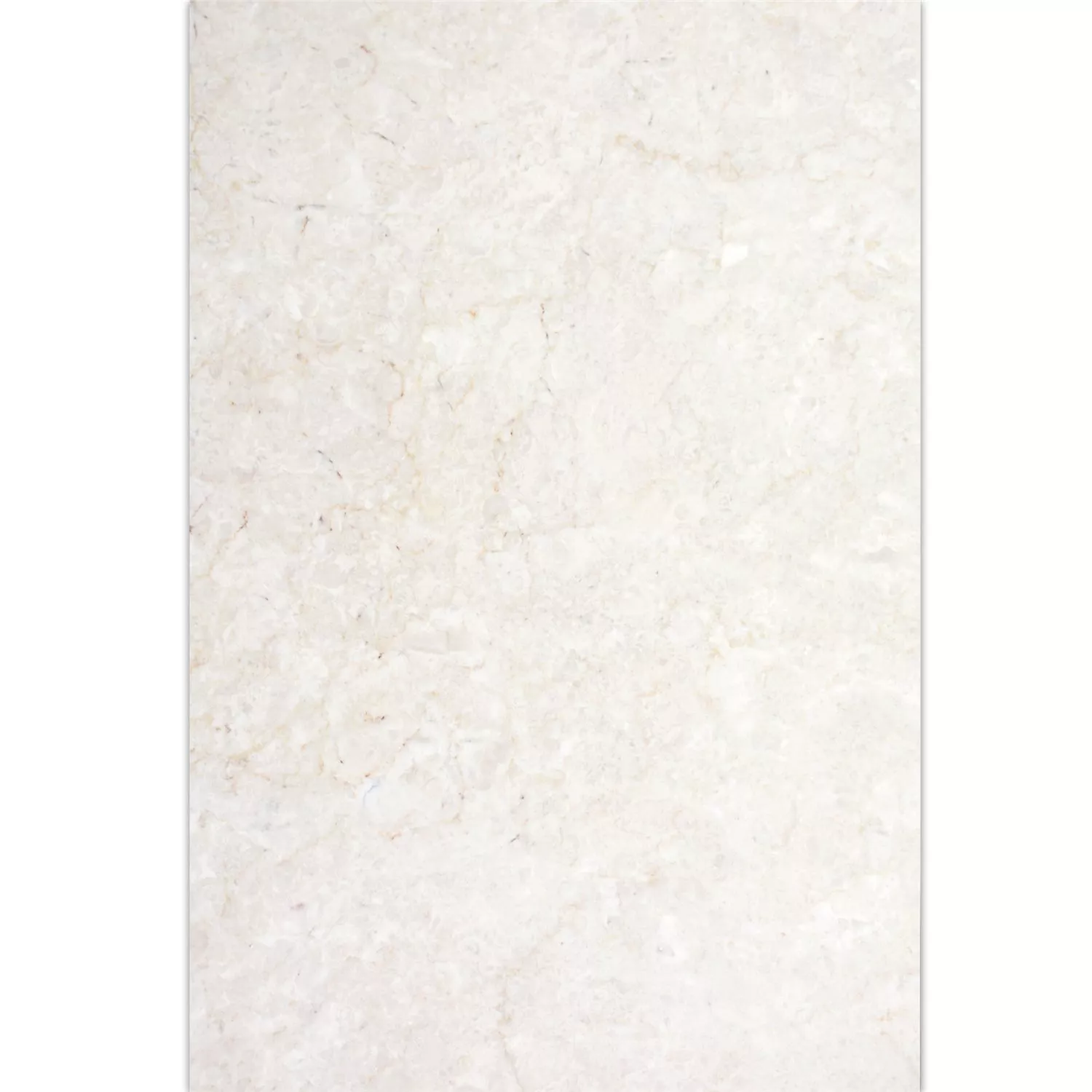 Natural Stone Tiles Marble Afyon Beige 40,6x61cm