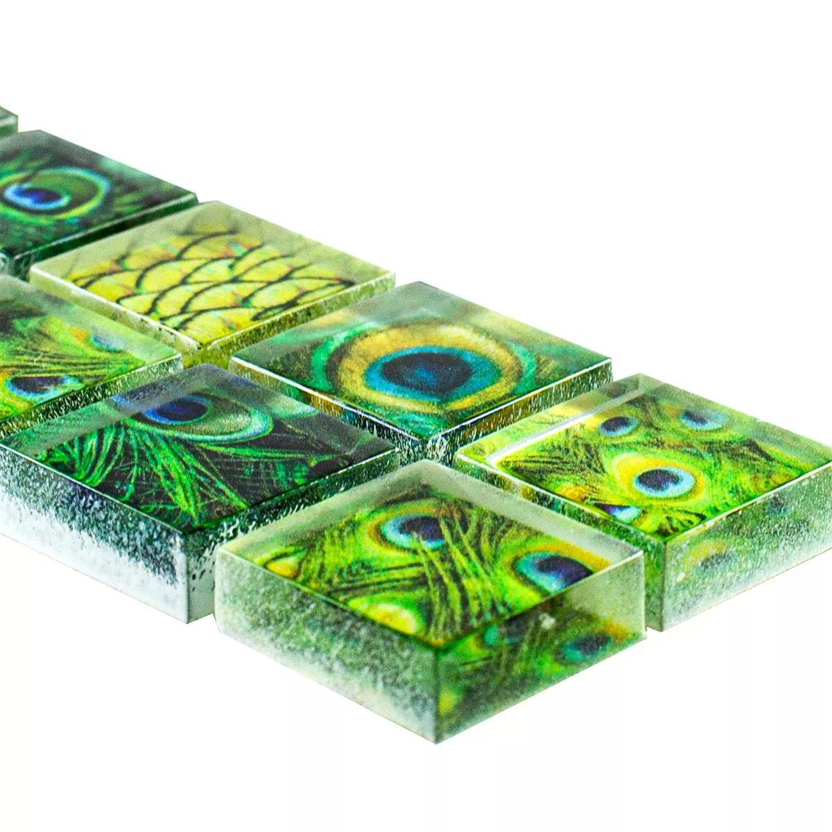 Glass Border Ordway Green Square 23