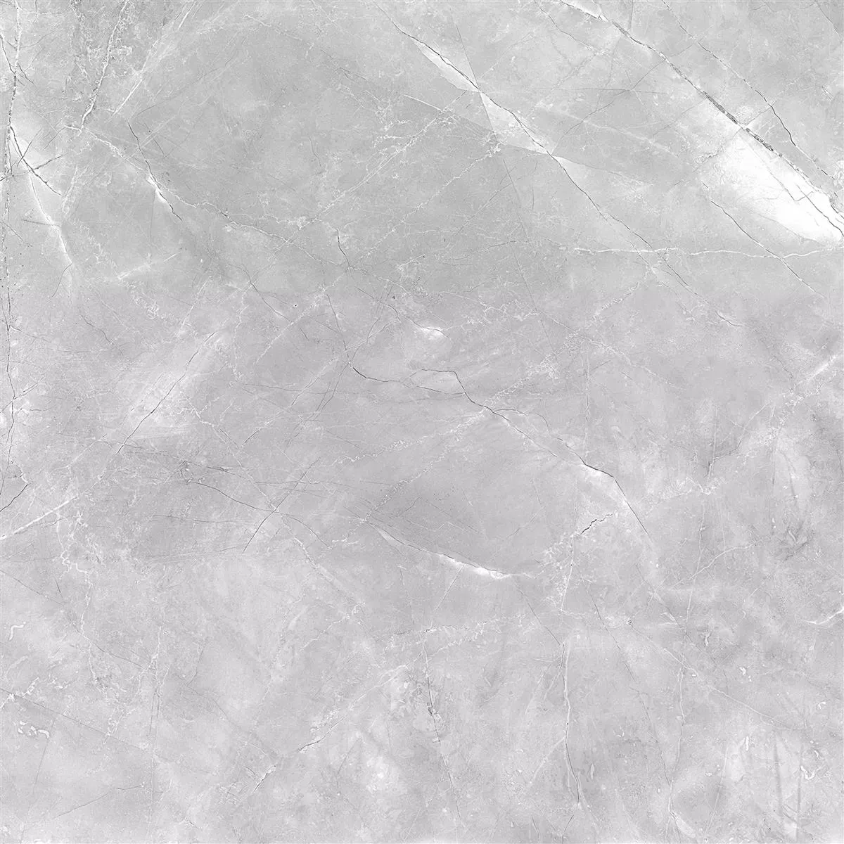 Angola Polished Grey 60x60 cm