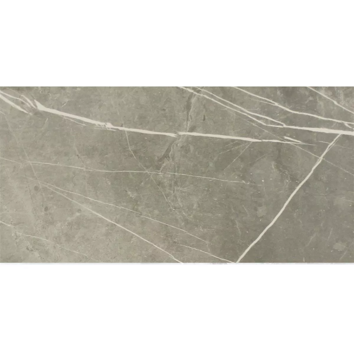 Floor Tiles Astara Natural Stone Optic Polished Grey 30x60cm