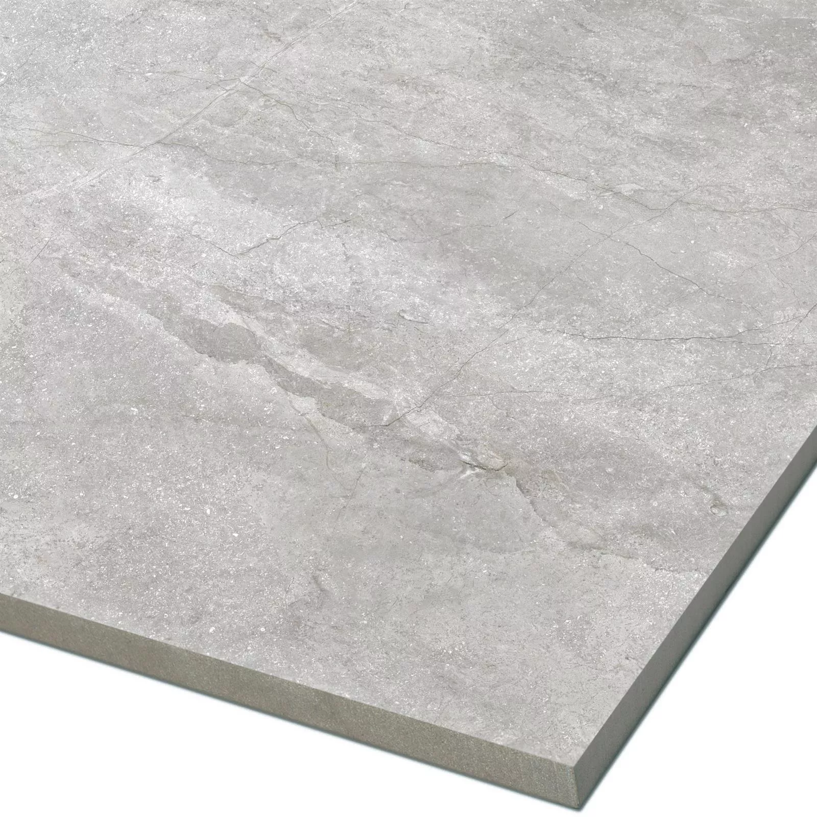 Floor Tiles Noiron Mat Polished Silver 60x60cm