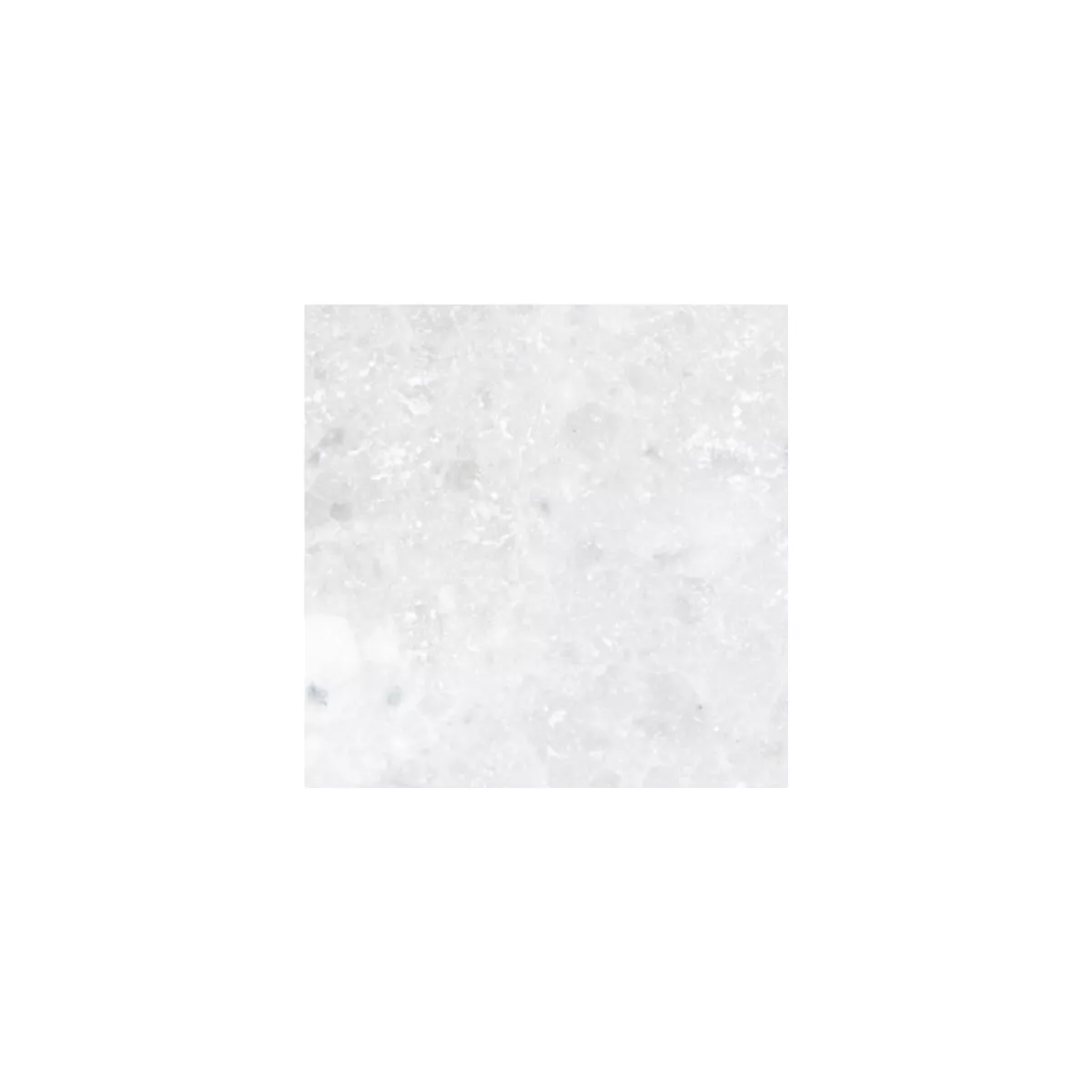 Sample Natural Stone Tiles Marble Treviso White 10x10cm