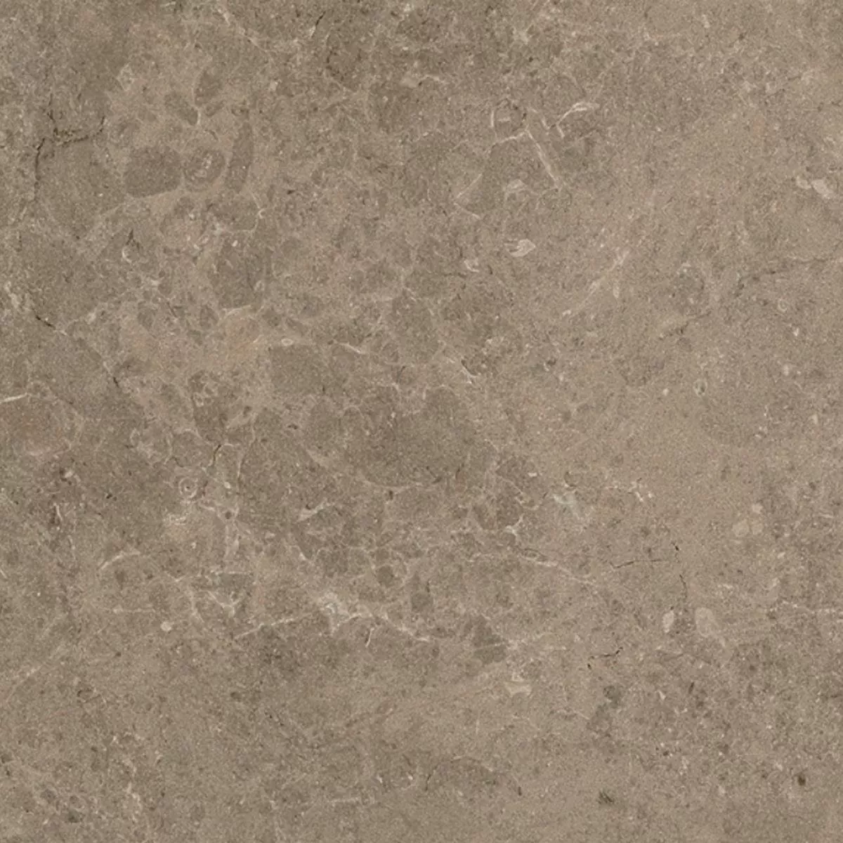 Terrace Tiles Porcelain Stoneware Arizona Taupe 60x60x2 cm Terrace Tiles Porcelain Stoneware Arizona Taupe 60x60x2 cm