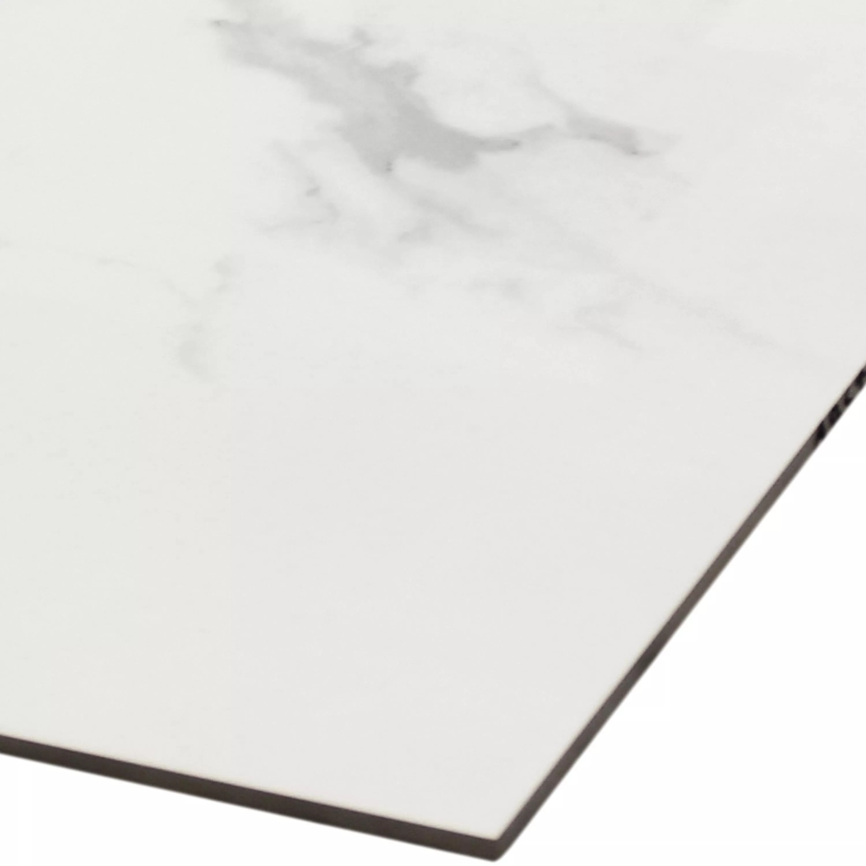 Sample Floor Tiles Aronia Carrara Polished 30x60cm