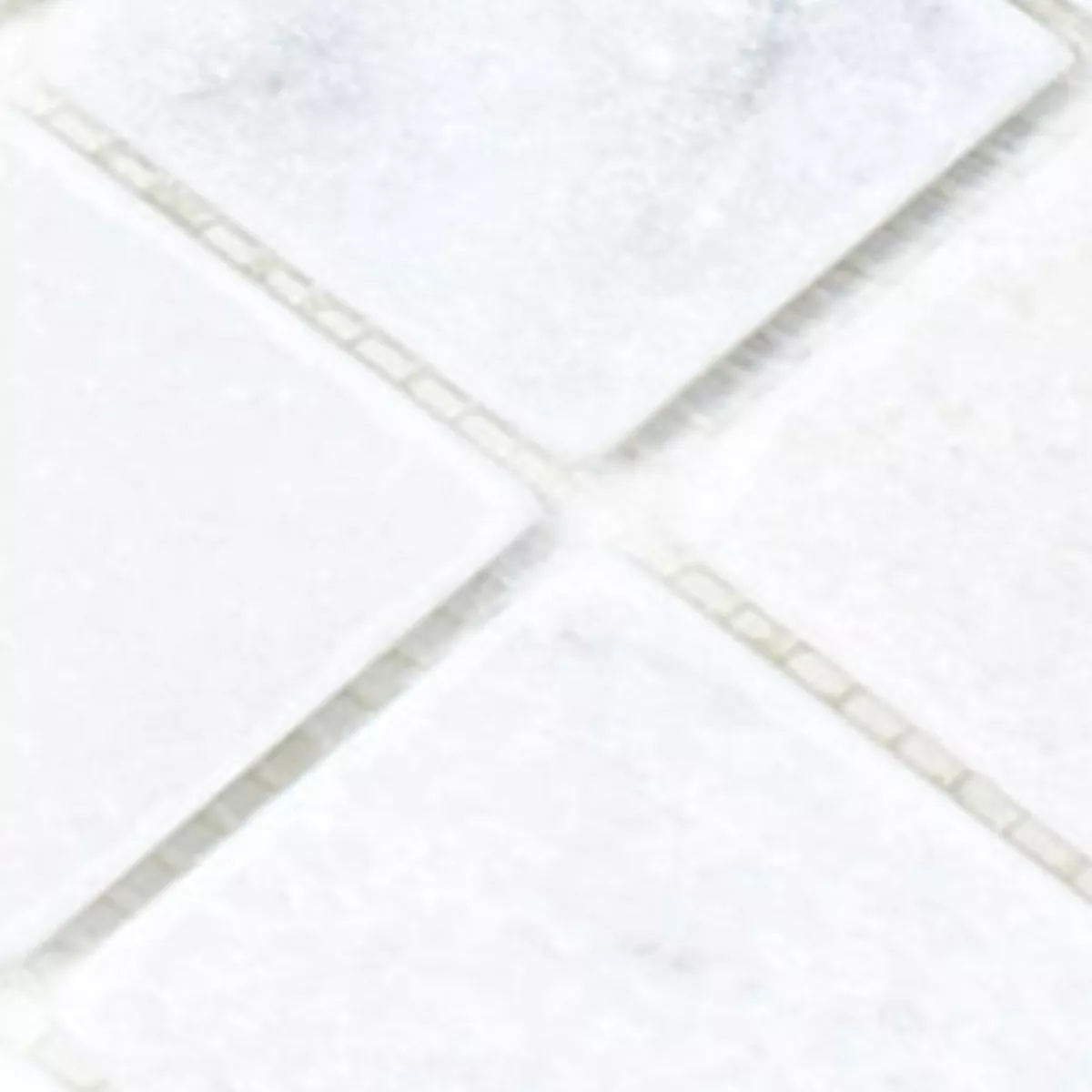 Sample Mosaic Tiles Marble Treviso White 48