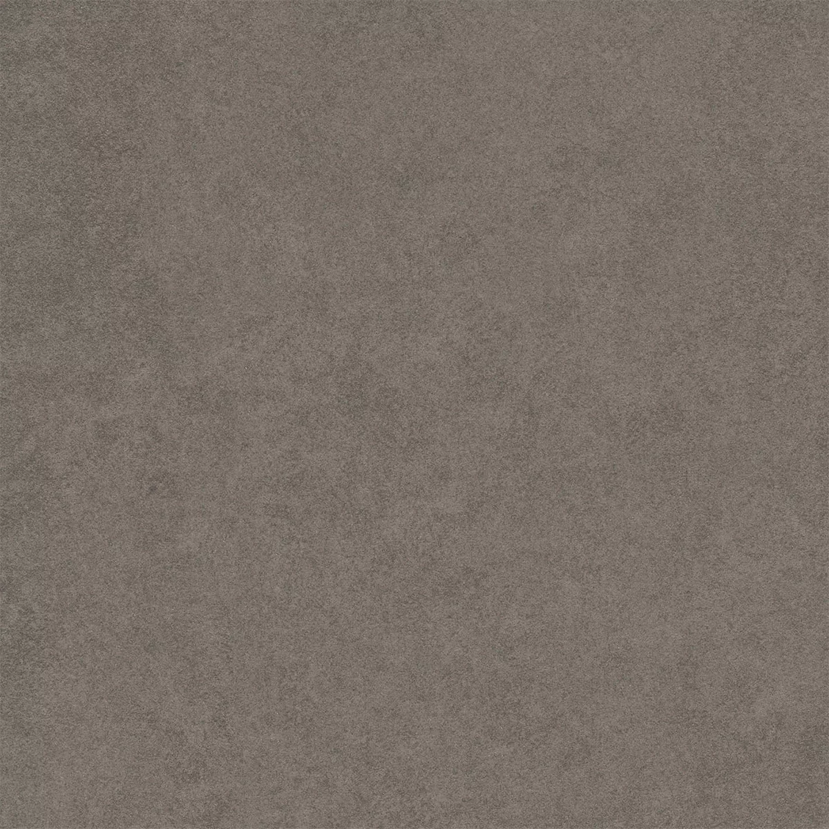 Kolossal Dark Grey 60x60 cm