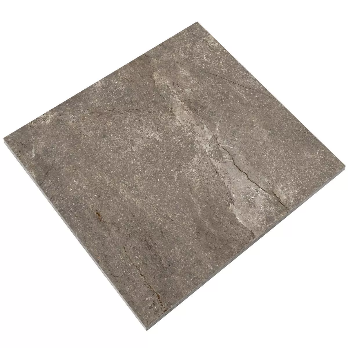Sample Floor Tiles Pangea Marble Optic Mat Mokka 120x120cm