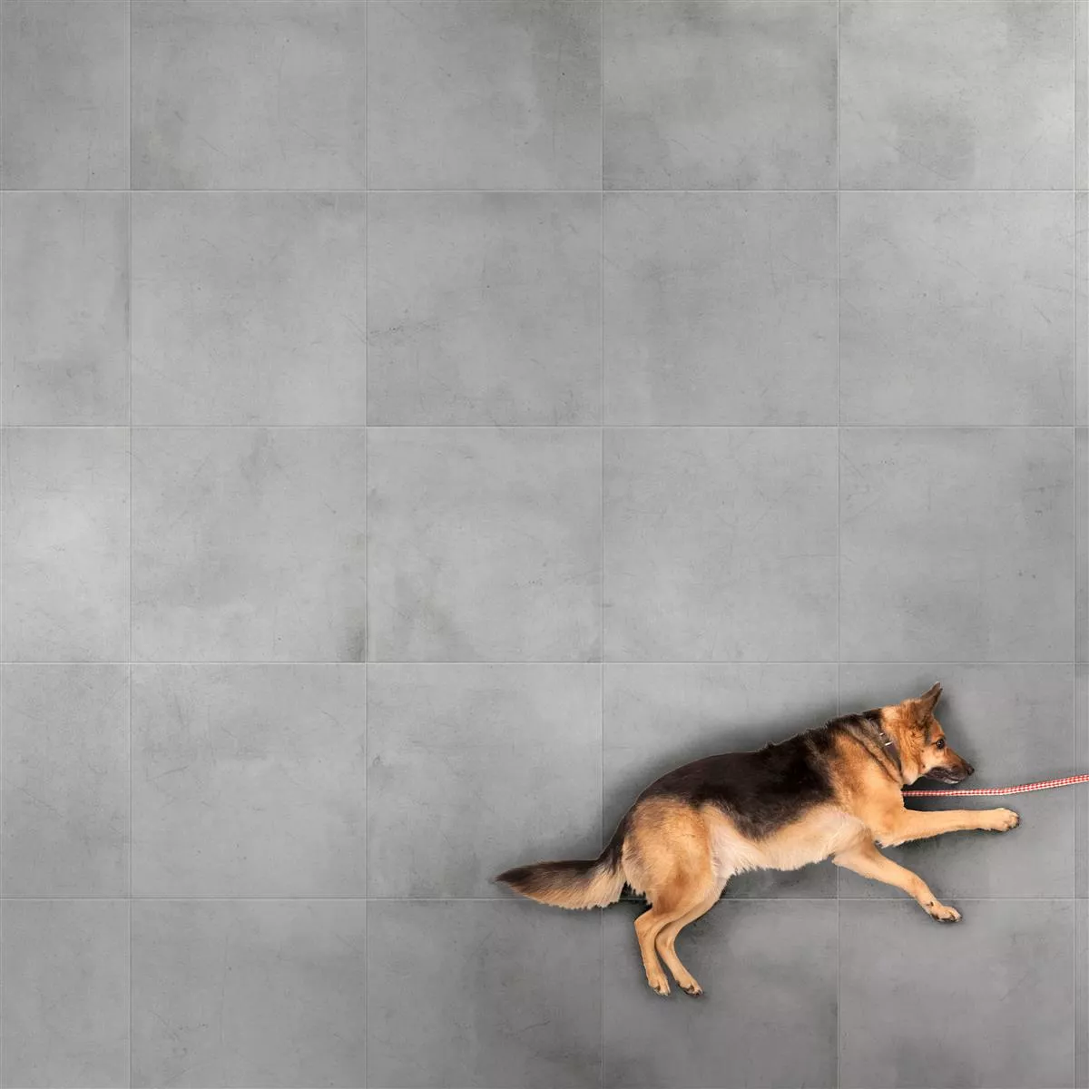 Floor Tiles Brazil Grey 60x60cm