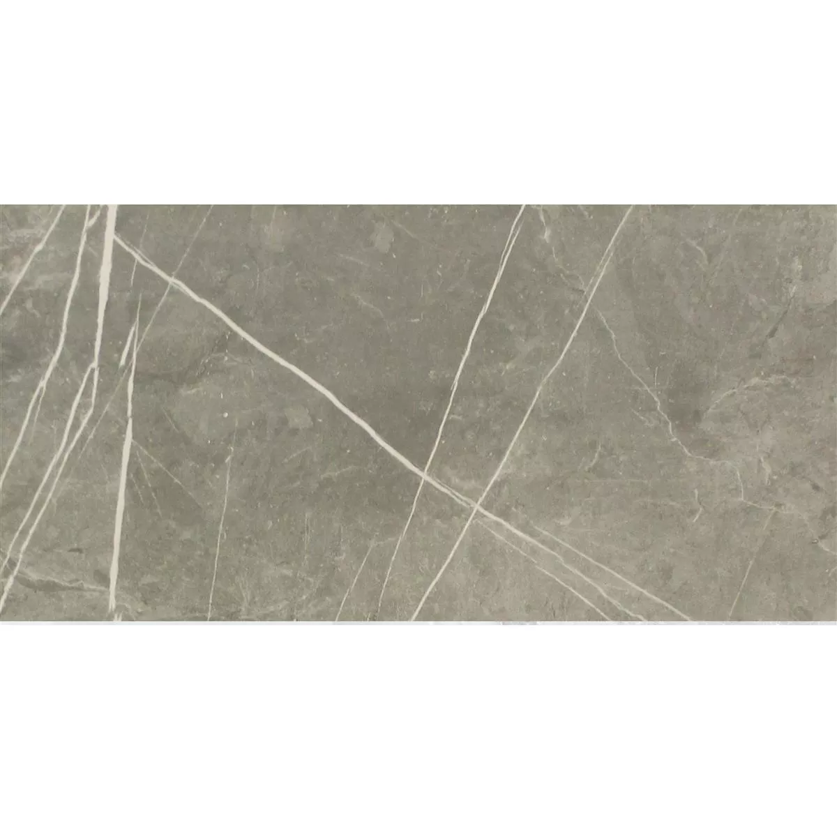 Floor Tiles Astara Natural Stone Optic Polished Grey 30x60cm