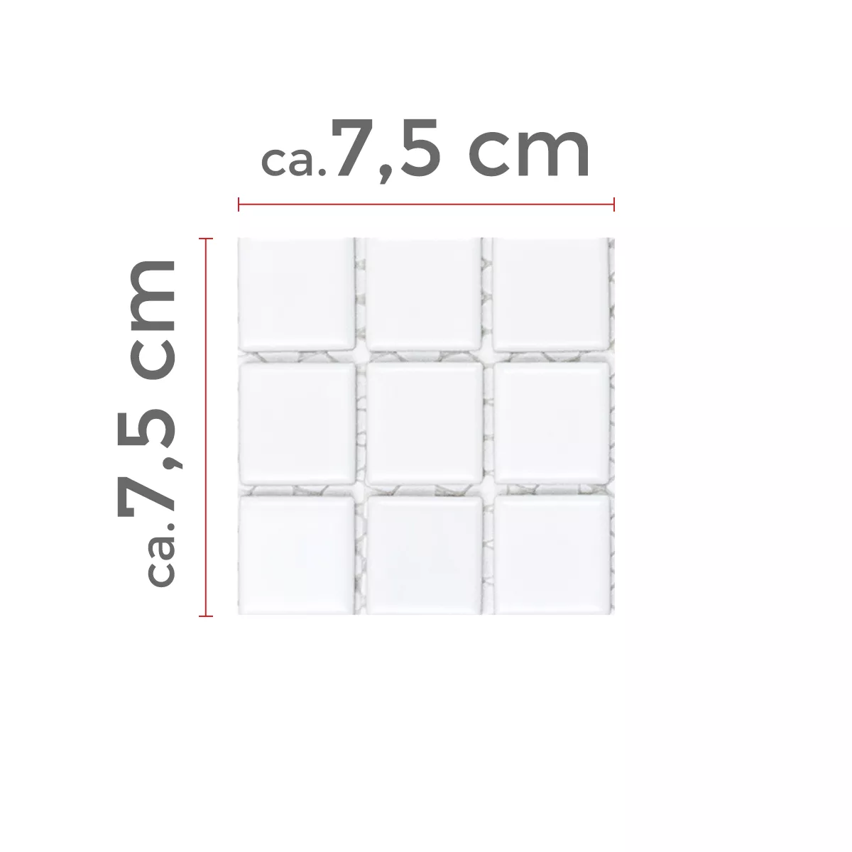 Sample Mosaic Tiles Ceramic White Mat