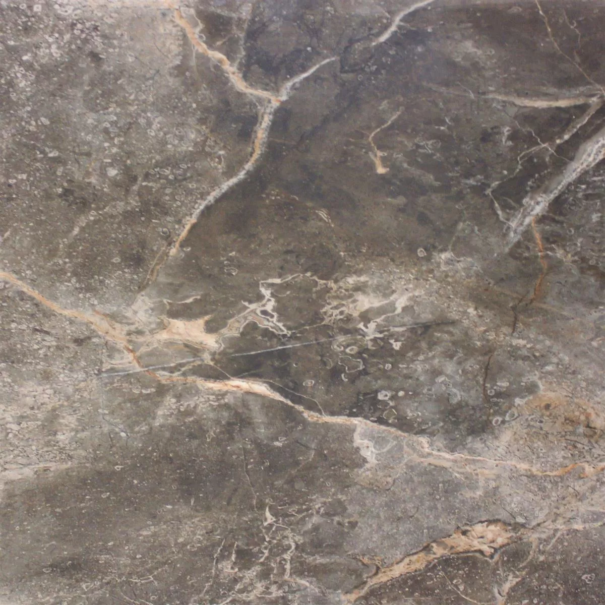 Sample Floor Tiles Marble Optic Himalaya Brown Polished 60x60cm