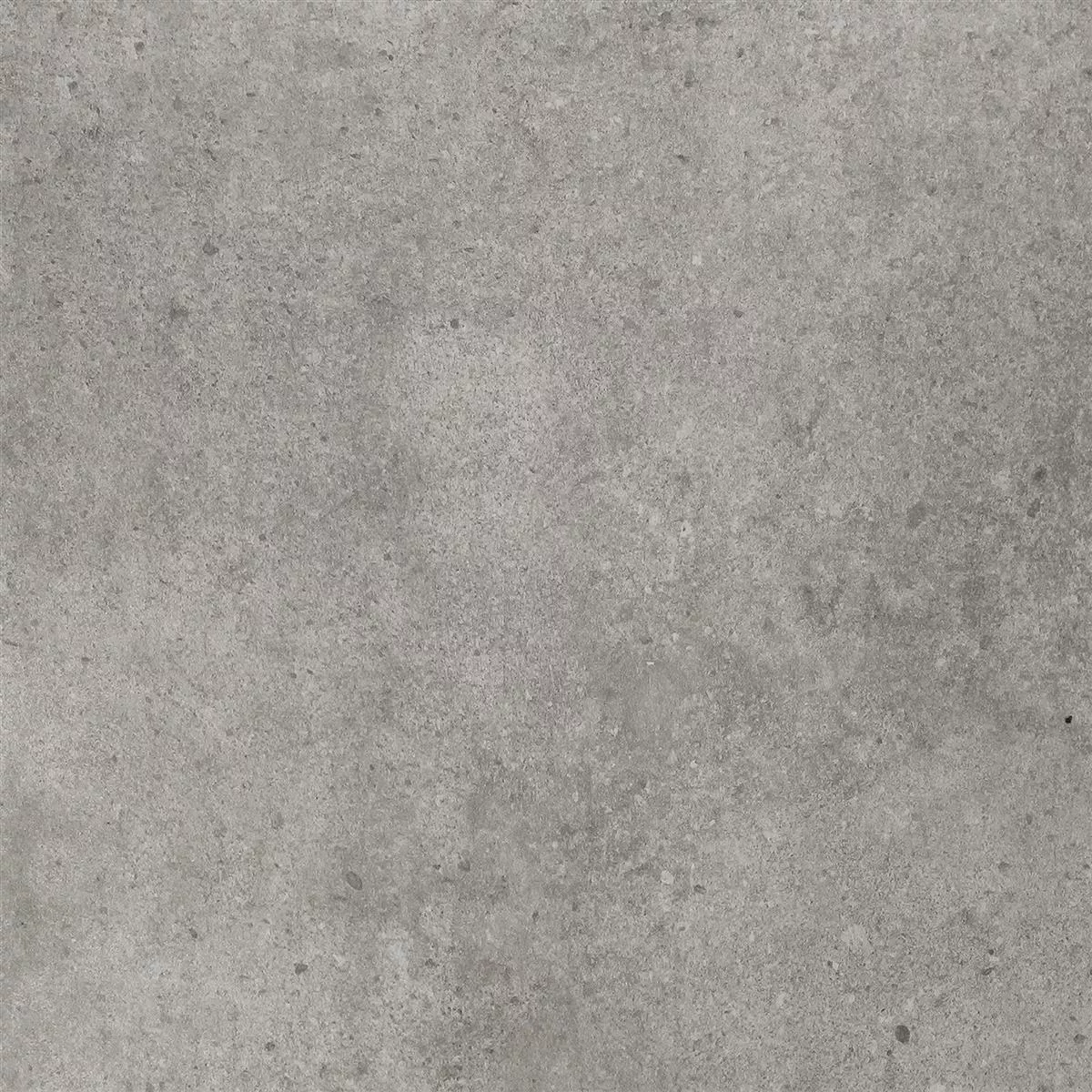 Sample Floor Tiles Stone Optic Despina Grey 60x60cm