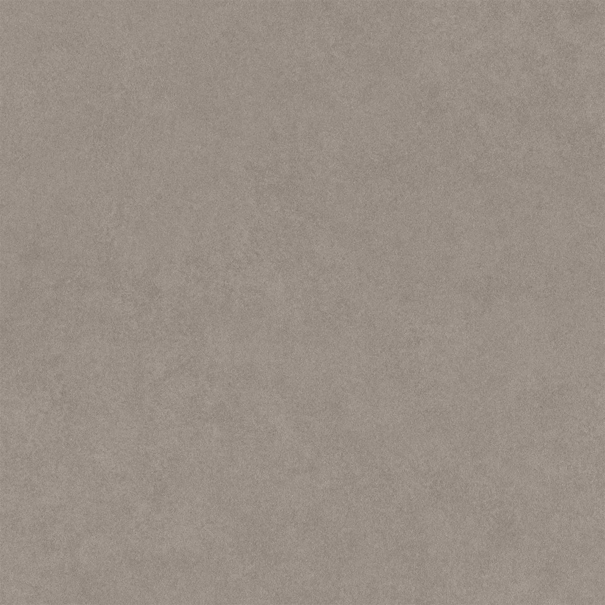 Kolossal Light Grey 60x60 cm