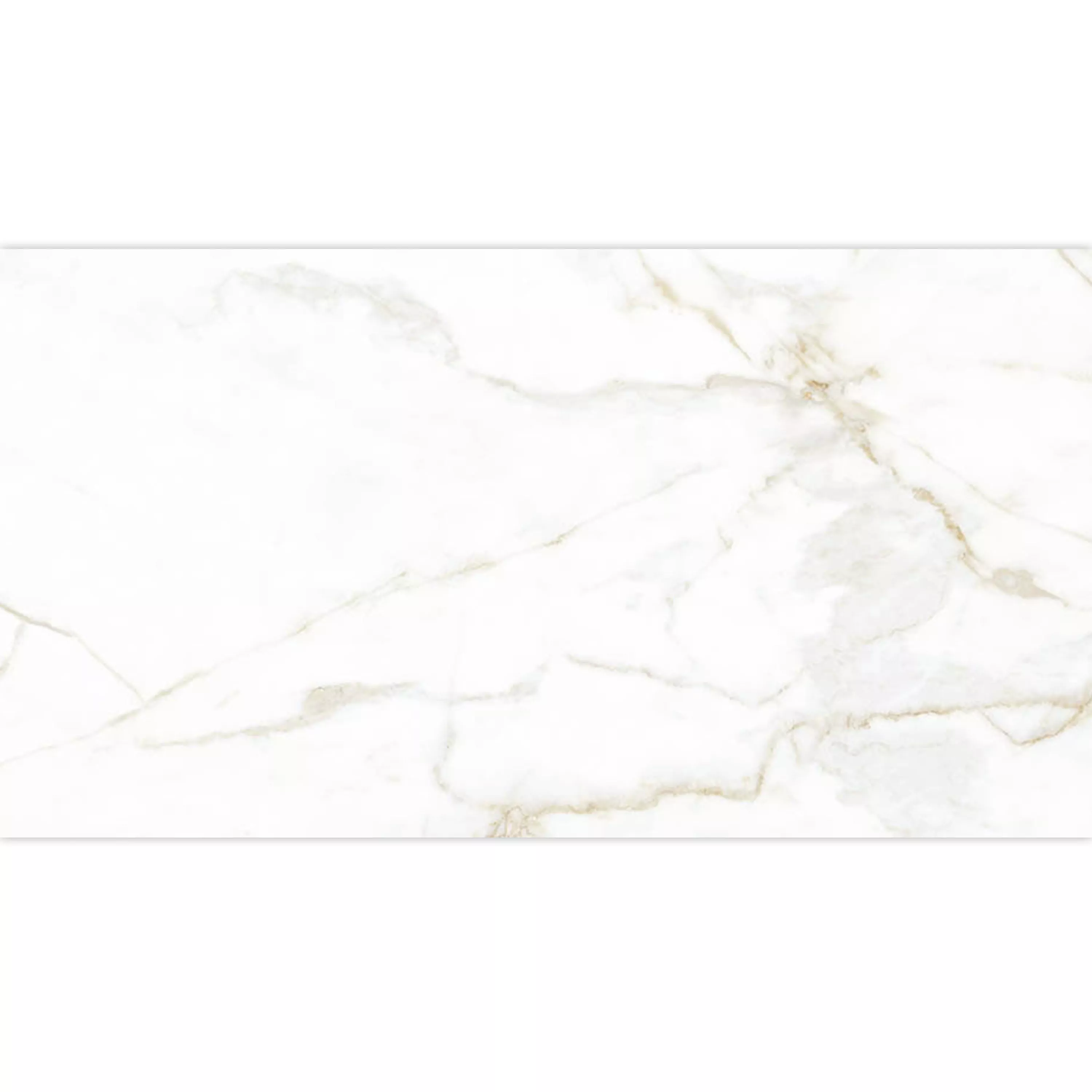 Floor Tiles Arcadia Marble Optic Mat Gold 30x60cm Floor Tiles Arcadia Marble Optic Mat Gold 30x60cm