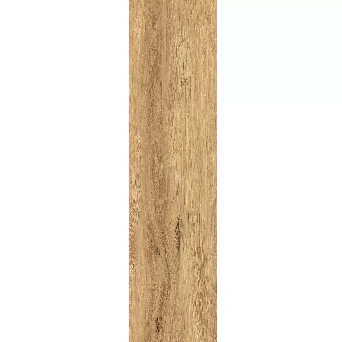 Floor Tiles Riverside Wood Optic Brown 30x120 cm