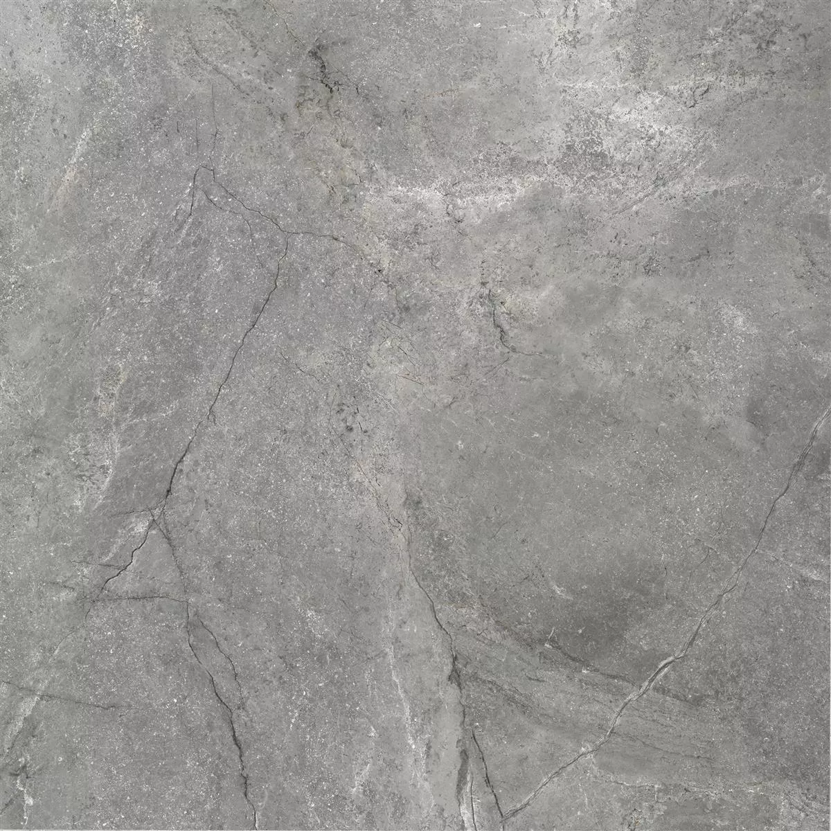 Floor Tiles Pangea Marble Optic Mat Grey 120x120cm