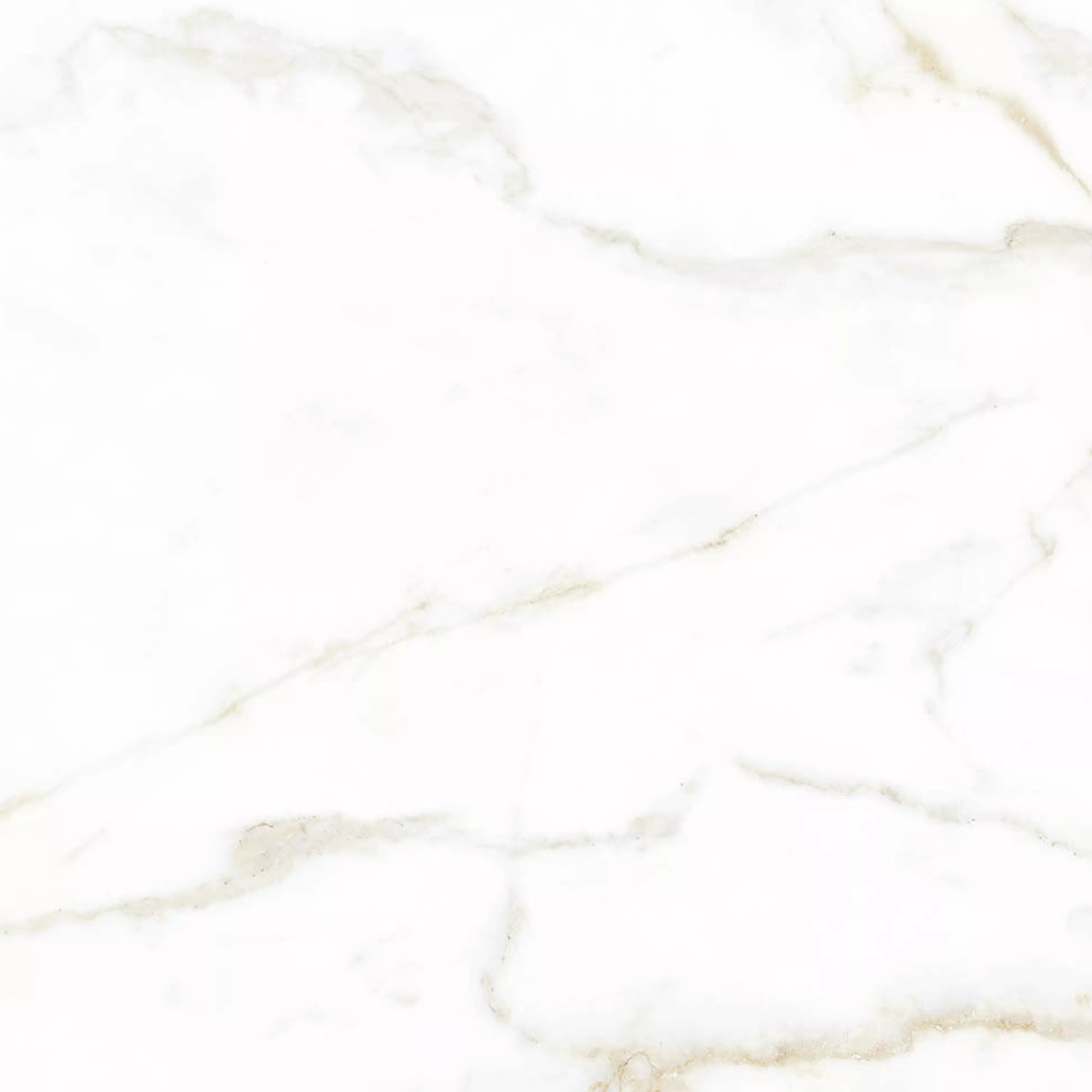 Floor Tiles Arcadia Marble Optic Mat Gold 60x60cm Floor Tiles Arcadia Marble Optic Mat Gold 60x60cm