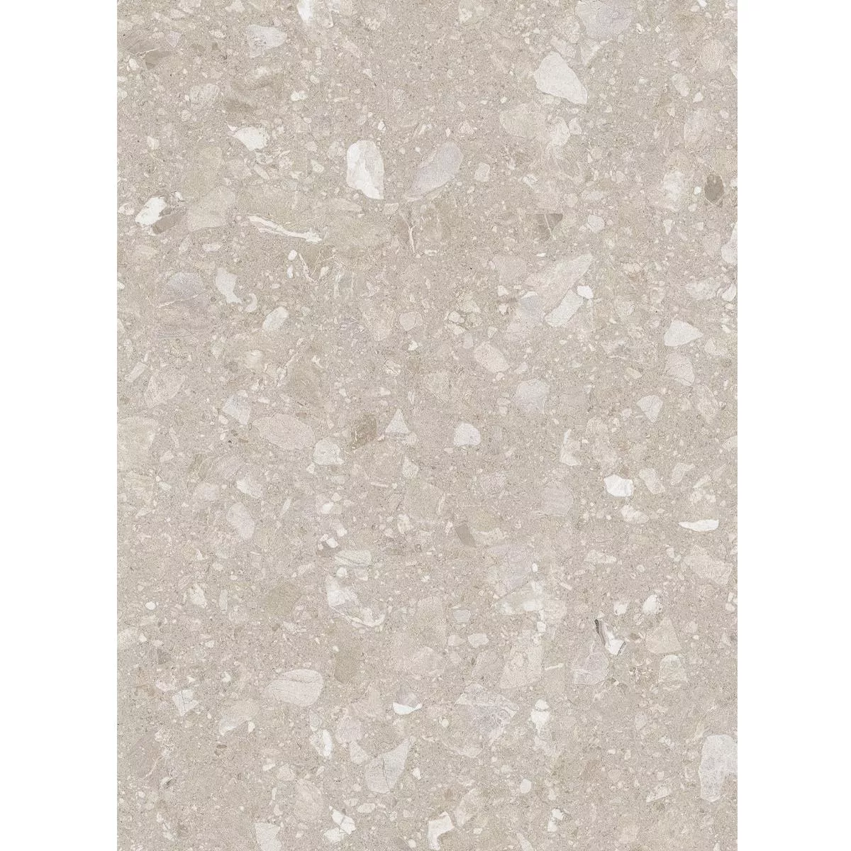 Floor Tiles Porcelain Stoneware Lugano Beige 60x120 cm