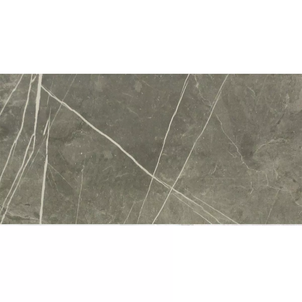 Sample Floor Tiles Astara Natural Stone Optic Polished Mist 30x60cm