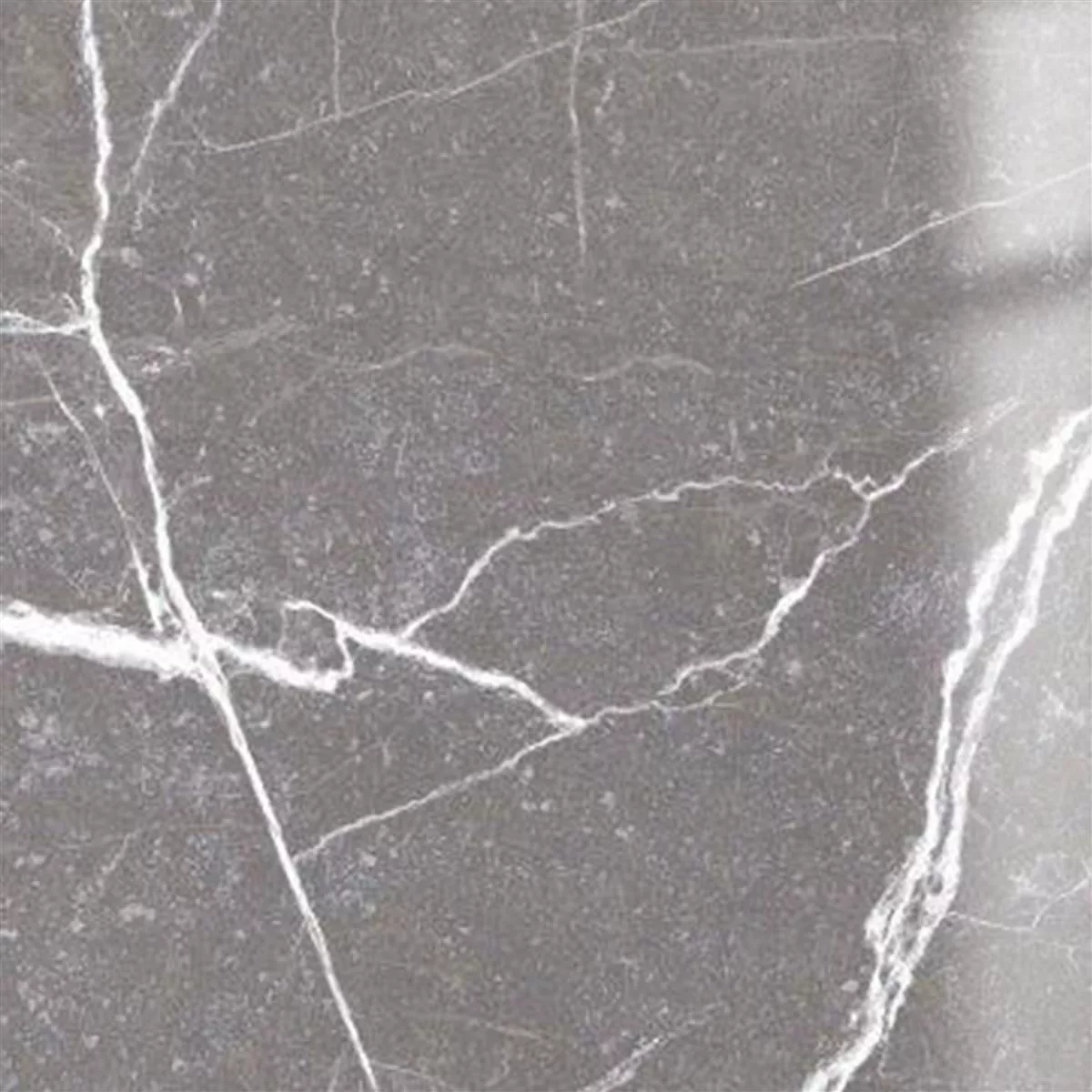 Floor Tiles Santana Marble Optic Polished Grey 60x60cm