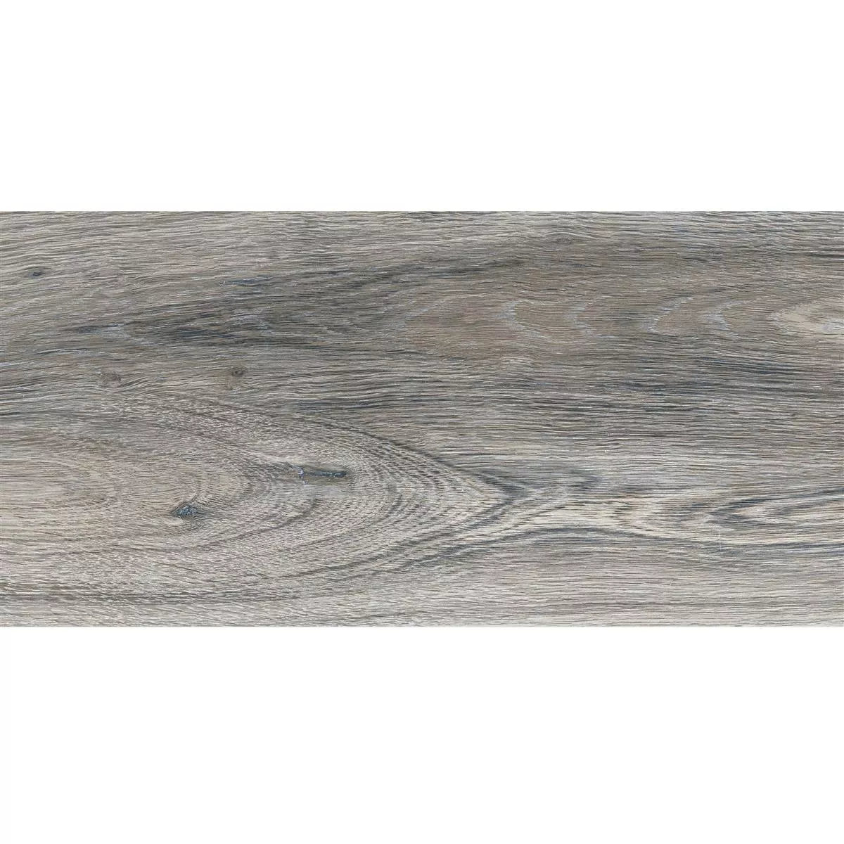 Sample Floor Tiles Goranboy Wood Optic Ash 30x60cm / R10