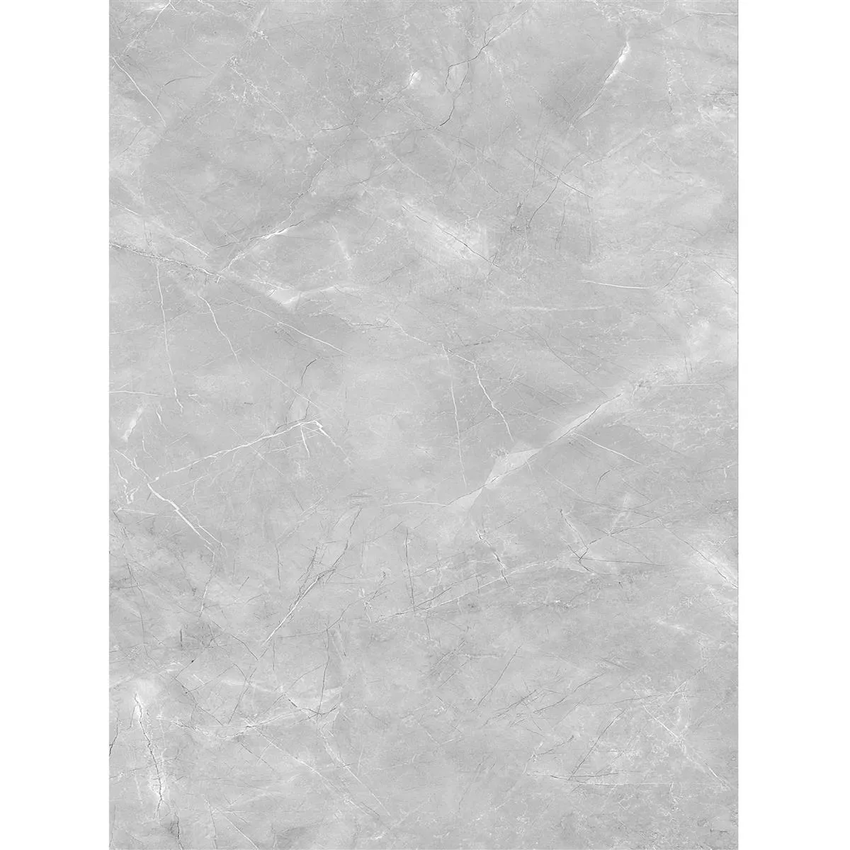 Angola Polished Grey 60x120 cm