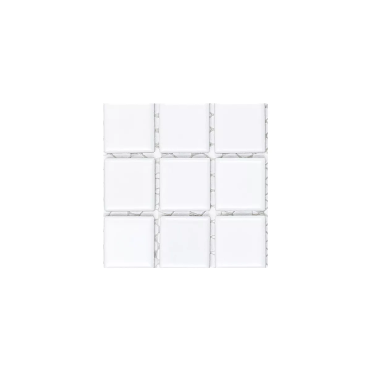 Sample Mosaic Tiles Ceramic White Mat