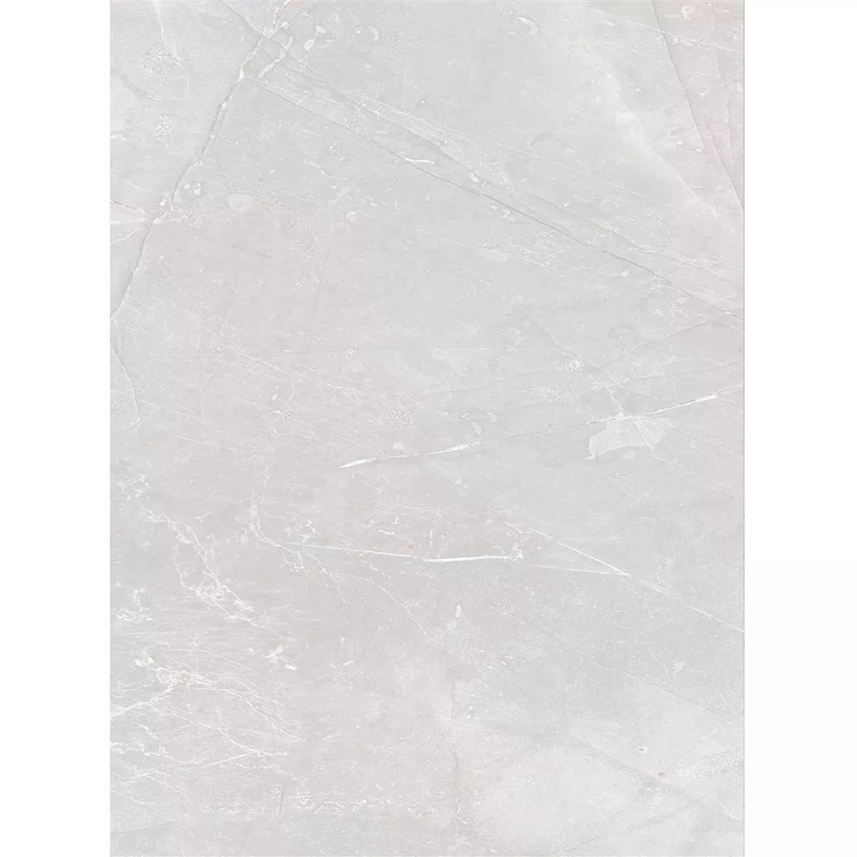 Floor Tiles XXL Lowland Polished Light Grey 80x160cm