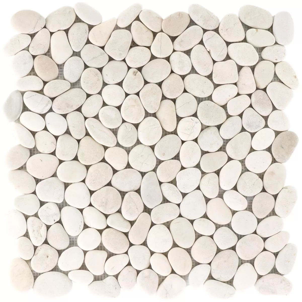 Pebble Mosaic Tiles Xanthos White