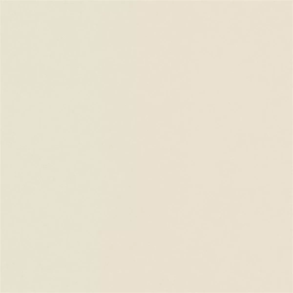 Kolossal Ivory 60x60 cm