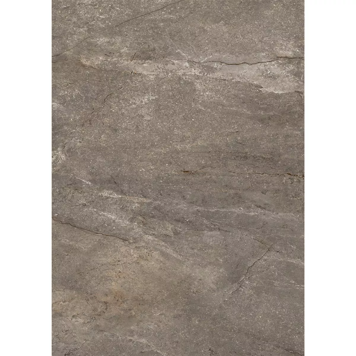 Floor Tiles Pangea Marble Optic Mat Mokka 60x120cm