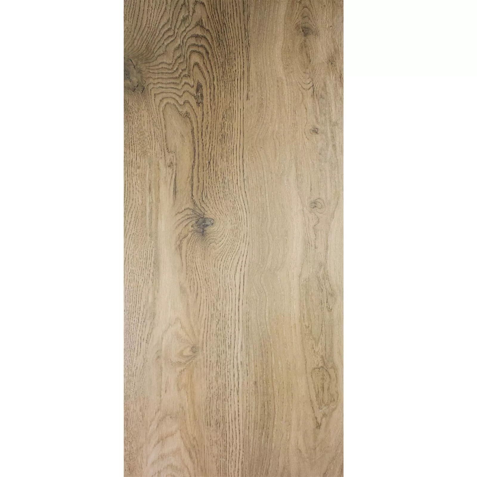 Sample Floor Tiles Wood Optic Linsburg Dark Beige 30x120cm
