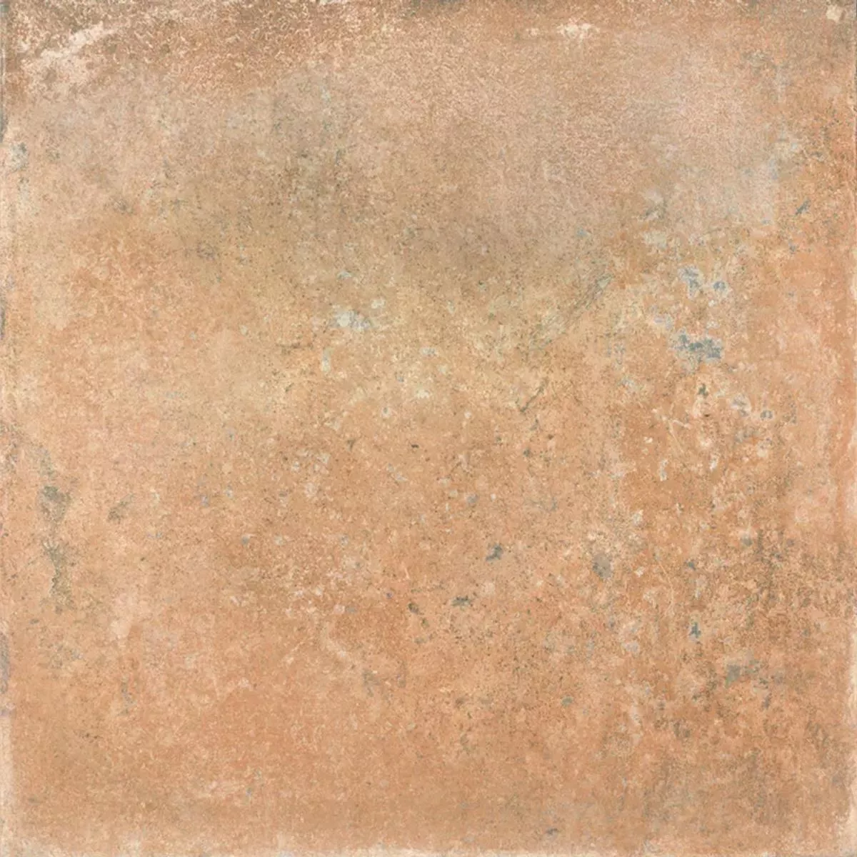 Queens Terracotta Brown 25x25 cm