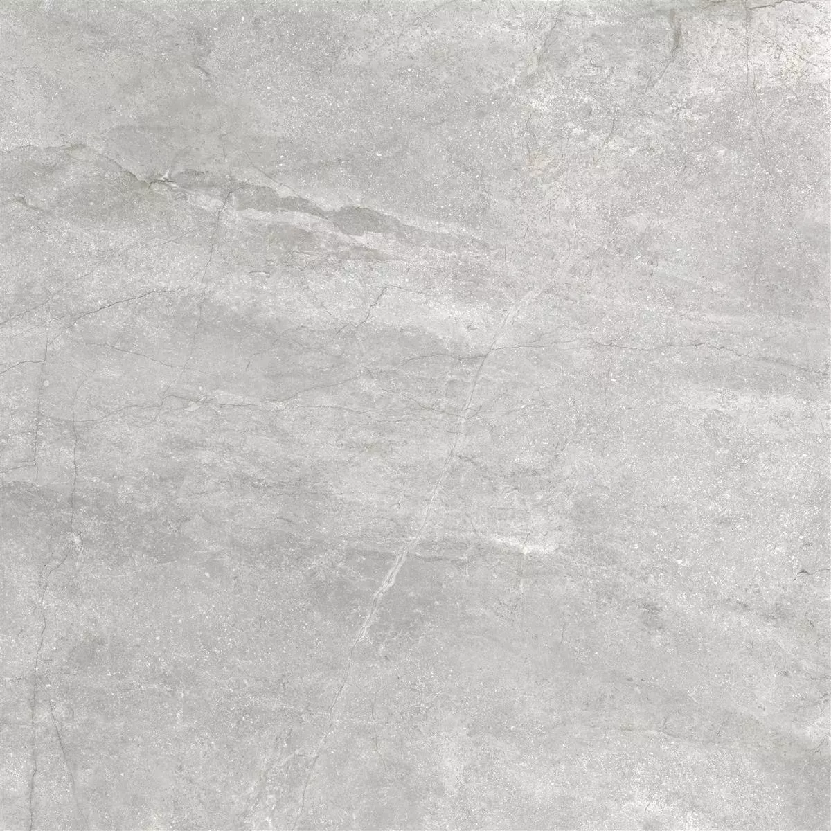 Floor Tiles Pangea Marble Optic Polished Silver 60x60cm
