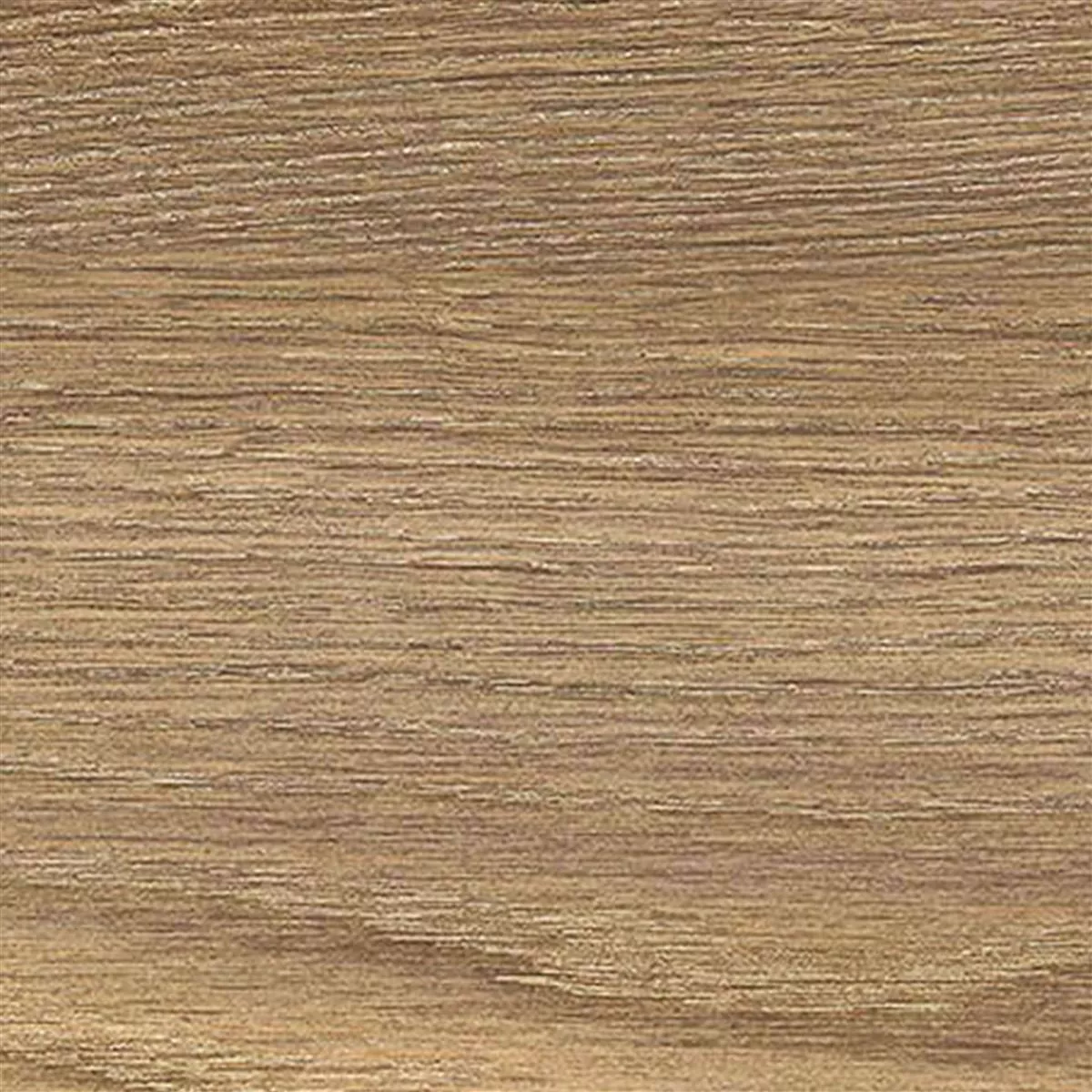 Floor Tiles Regina Wood Optic 20x120cm Honey