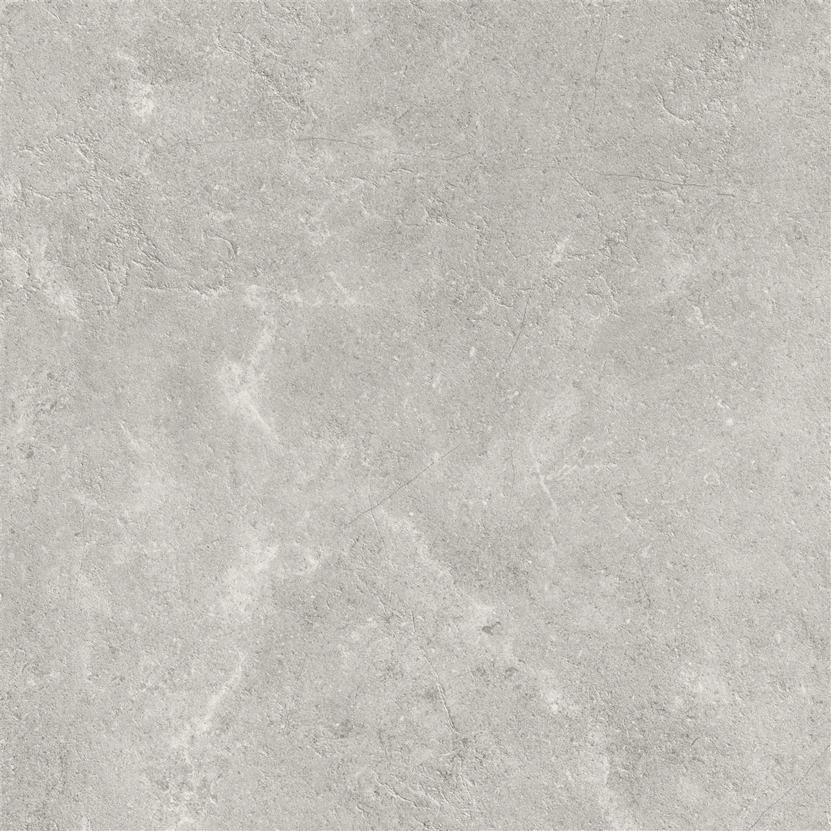 Sample Floor Tiles Bangui Stone Optic 60x60cm Silver