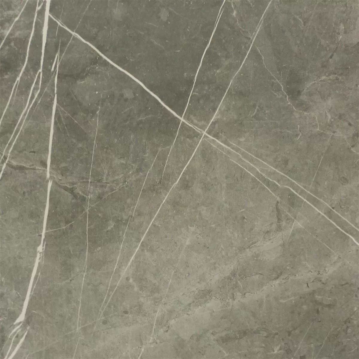 Sample Floor Tiles Astara Natural Stone Optic Polished Mist 60x60cm