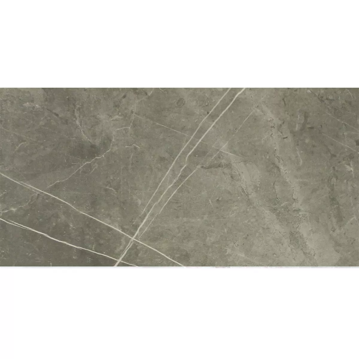 Floor Tiles Astara Natural Stone Optic Polished Mist 30x60cm